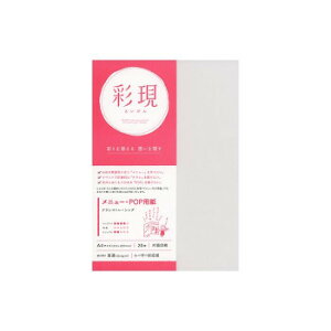 ʌ j[EPOPp NVRg[VO A4TCY 20 1742117