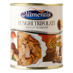 AeBX 2̂̂~bNX ICЂ 800g 24Zbg 2004 [bsOs][s][s]