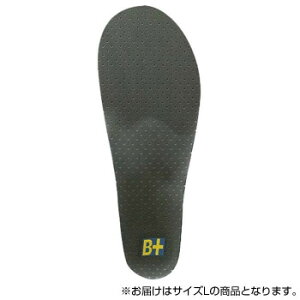 zVm C\[ Flying Foot Hoshino Insole B+VC35A Variable Control 35A L