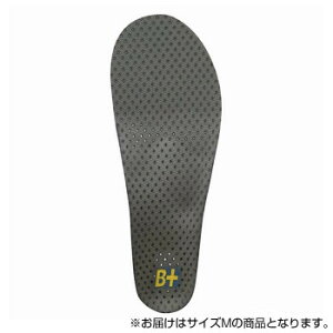 zVm C\[ Flying Foot Hoshino Insole B+VC25M Variable Control 25M M