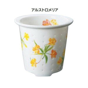 eB[tH[ a 11 AXgA TFO-003