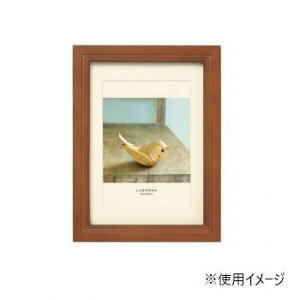 hi tHgt[ ʐ^ ؐtHgt[ DF43-2L-BR