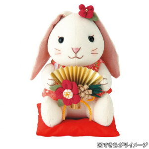 IpX xLbg ʂ ̃bv PA-809