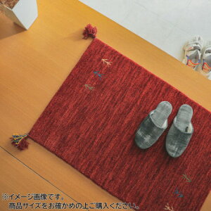 �V���v���M���b�x�}�b�g AYAKA(�A���J) ���փ}�b�g 40×60cm ���b�h�uGSCD802947�v