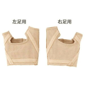 R OE e[sOT|[^[ t[TCY x[W p