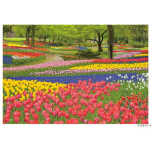 WO\[pY 108s[X i ԍ炭aLO() 01-2090