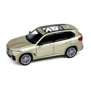 JADI BMW X5 TXg[ LHD 1/64XP[ PA55187