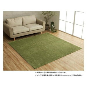 �~�b�N�X�p�C�� ���O ��3�� ��200×250cm �z�b�g�J�[�y�b�g�Ή� �O���[�� 3985479