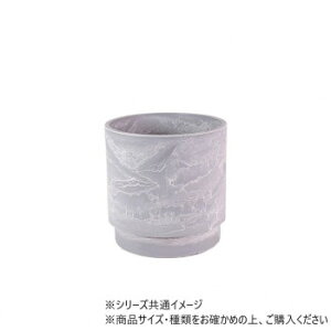 SK�X�e�b�v �A�b�V���O���C 15.5×H15 3d00036AGY