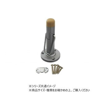 nCWbN 32009 NDp˓ Vo[ 1