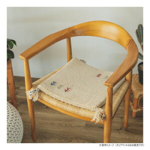 �O�����X�^�C�� �A���J�}�b�g IV 40x40cm �uGSCD802970�v