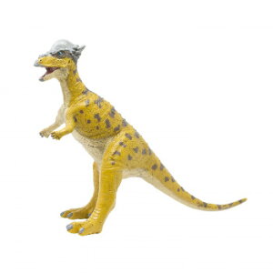 FD-323 pLPt@TEX rj[f 70698 [bsOs][s][s]