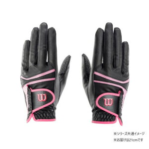 EC\ ptH[}XlI fB[XO[u p ubN/sN 21cm