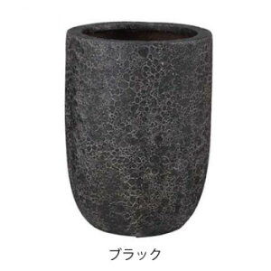 O[|bg Aؔ @Cg g[Eh ubN 32cm EB-VL3245BK