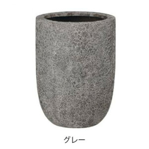 O[|bg Aؔ @Cg g[Eh O[ 32cm EB-VL3245GY