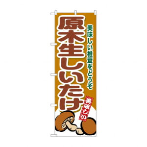 G_̂ڂ SNB-9779 ؐ [bsOs][s][s]