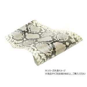 ؂v _ChpC\ i` 1 Pkawa067-40