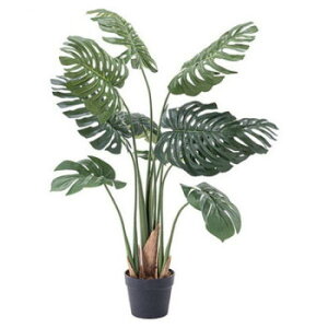 J tFCNO[ Xe O[ GRN-11 [bsOs][s][s]