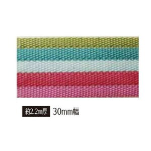 �\�E�q�� joint �N���t�g�p�[�c 30mm���{�[�_�[�e�[�v ��10m���[���� 1/�}���`�J���[ JTT-A3012