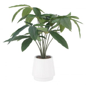 sf iC/D:41128j tFCNO[ pL Z~bN|bg