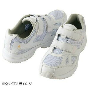 ACgX 59708 ÓdV[Y(jp) zCg 29.0cm