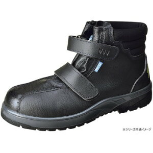 ~cE} SCƌC Z[tebNNo.65W N 23.5