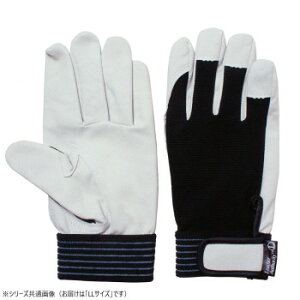 쏤 G[X v A[gOu LLTCY AG6450