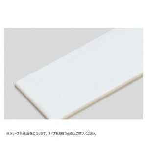 �R�����w(���}�P��) �ϑw�T���h�C�b�`�^�C�v�܂Ȕ� 2��B(600×300mm) 23mm �x�[�W�� [���b�s���O�s��][����s��][�����s��]