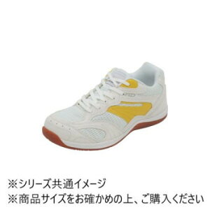 AXeBR AD ̈كV[Y CG[ 29.0cm