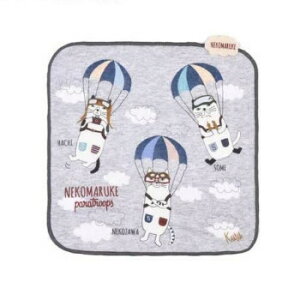 NXOWp K[[pCnJ` PlR܂邯 ۃO[ 23-6704