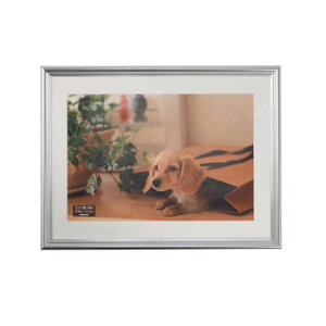 iJoV ʐ^z/Wlc/Vo[ F-SP-112-SV