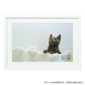 iJoV ؐʐ^z/WZc/zCg F-SW-113-W