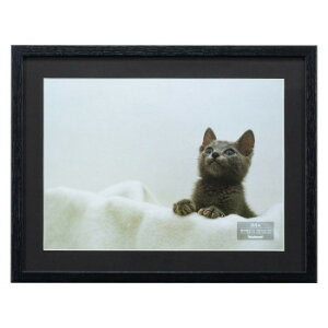 iJoV ؐʐ^z/A4/ubN F-SW-114-D