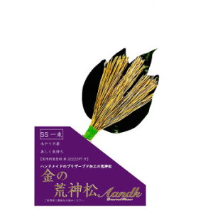 AK {vU[uh ̍r_SS(̏) gKJ-004