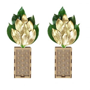 AK {vU[uh ̍SSV 嗧ăJo[Zbg ST-024