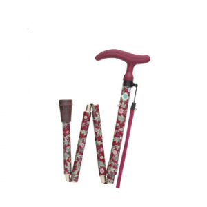 tWz[ XebL  ANeBuO[X܏S Cbh WB3758