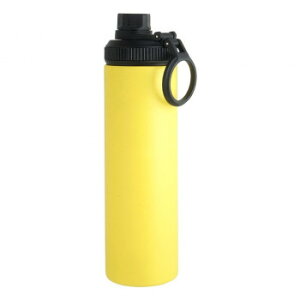 ���r���O WELF SLIM BOTTLE �����݃X�����X�e�����X�{�g�� YE 650ml