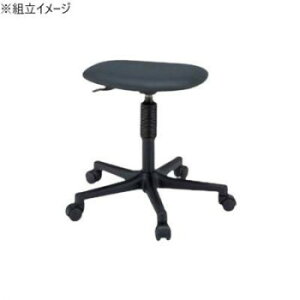 TJG Ɨp[N`FA[ LX^[t wꖳ 390×380×405mm S1C-BKN [bsOs][s][s]