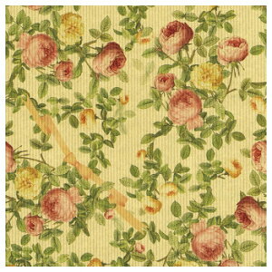  NVbN lZS 100 XZK00248