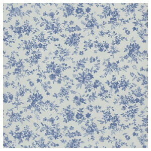  t[ lZS 100 XZK00057