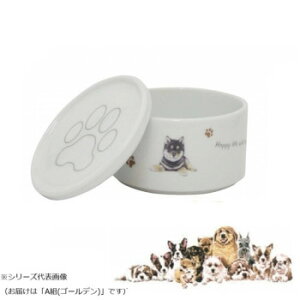 R X^bJ[SET() Ag(S[f) wa-se100-S30