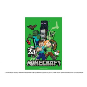 �W�O�\�[�p�Y�� 208�s�[�X MINECRAFT Adventure Mode 208-123