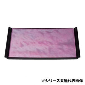 Ntg 3tCg~sN_SL 55007660