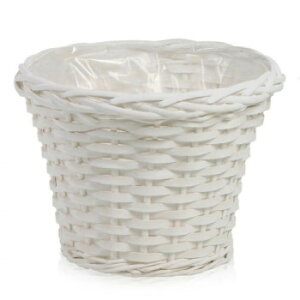 �G�X�W�[�����_�[�]�[�� �����E�b�h �_��6���L���z���C�g 318-60DRW