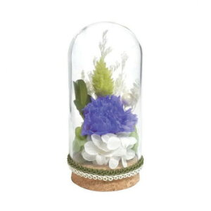 p() {gt[ vU[uht[ () p[v C33560