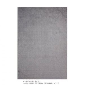 P-2000 ���@�\�J�[�y�b�g �R�ۖh�_�j���L�h���R�A�����Q���R�E�B���X���g�Ή� �O���[ �]�ˊ�8�� 352×352 [���b�s���O�s��][����s��][�����s��]