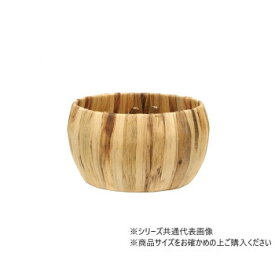 大橋新治商店 ヒヤシンスバスケット 寄せ 29-613