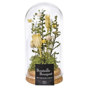 �R���N�K���X�h�[�� ���ԃA�����W S �C�G���[ 57m5008100002