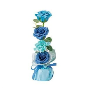 GREEN HOUSE �N���A���C���o�b�O�\�[�v�t�����[ �u���[ 5580-BL