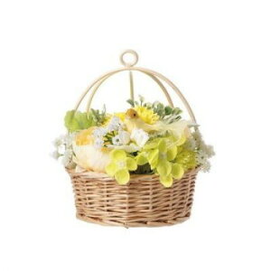 GREEN HOUSE �������\�[�v�t�����[ �C�G���[ 5572-YE